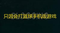 只因会打篮球手机版游戏v1.5 人气热度：20℃